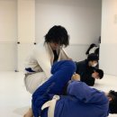 크로스핏혼 이미지