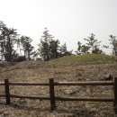 표선면-13 이미지