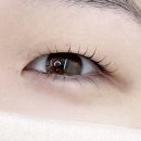 랑떼르