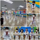 충효태권도체육관 이미지