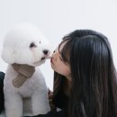 엘로디스튜디오 | 엘로디독, 1207스튜디오 바라보다프로젝트 후기