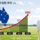 24시금강산흑염소 이미지