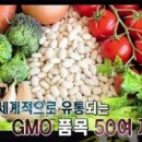 GMO 유전자 조작 식품 봤더니 이미지