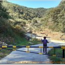 용담면사무소 이미지