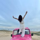 우호목장 | 나트랑 사막투어 피크타임 판랑 선라이즈 투어 추천 후기