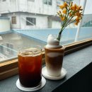 모디스트 임팩트