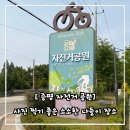 동락공원 자전거안전교육장 | 🚲 증평 자전거공원 후기 | 미니어처 구경 + 자전거 타기 좋은 소소한 나들이 장소