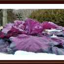 계명공원 이미지