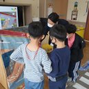 김천동부초등학교유치원 이미지