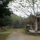 마스터디디 이미지