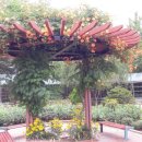 순천향대학병원 이미지