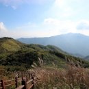 버스정류장 05-110 이미지