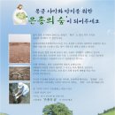 몽골 나무심기, '녹색선교' 떴다! 이미지