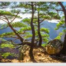 흰구름 맑은달 이미지