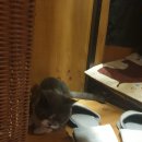 차크라 민박 | [선유도역 요가원] 차크라요가 3달째 내돈내산 후기