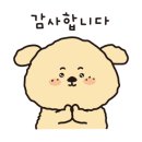 린리듬체조