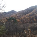 온달이네