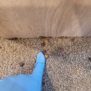 (주)더트리니호텔 이미지