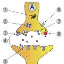중앙약국 이미지