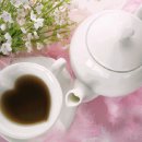 하얀민들레 이미지