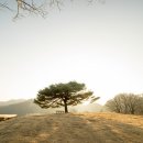 저상목장 이미지