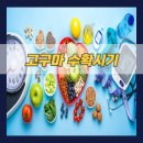 시기