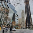 즐긴 마지막 하루&#34; Apple Fifth Avenue.록펠러 센터 크리스마스 트리.뉴욕 공립 도서관.그랑 센트럴 터미널