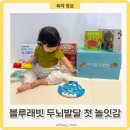 재미팡팡 두뇌놀이터 | 돌 아기 블루래빗 두뇌발달 첫 놀잇감 개봉 후기