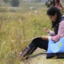 세밀화 그리기 이미지