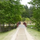 파주삼릉 이미지