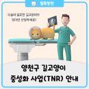 강현림 종합동물병원 이미지
