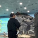 창일세탁소 네이버블로그