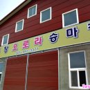오로라승마장
