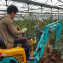 가영농장 이미지