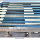 더화이트 이미지