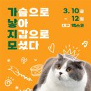 보벨디자인
