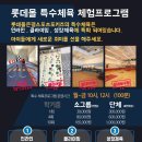 하이풀 스포츠 이미지