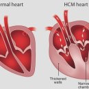 광명 24 아이디동물의료센터 이미지
