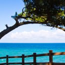 우가어촌체험휴양마을 이미지