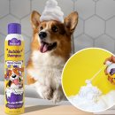 와이즈펫 주식회사 이미지