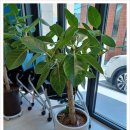 청춘과 정든마을+ 부산 금사 이미지