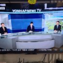 별내동 두물로 28 네이버블로그