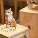 펠리체PT스튜디오 이미지