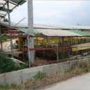 정선축사 이미지