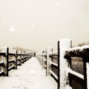 갈대습지공원 이미지