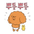 향기스토리카페