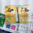 나누리약국 이미지