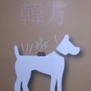 모라동물병원 이미지