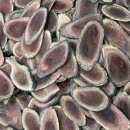 온바로한의원 이미지