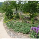 정양리 마을회관 이미지